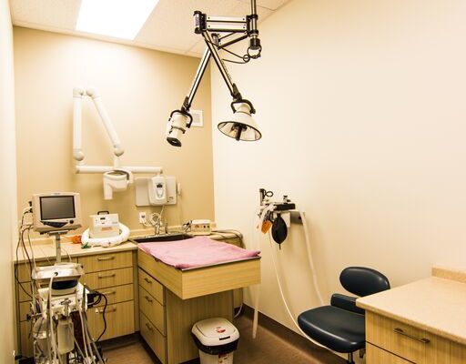 Dental room and equipments at East St. Paul Animal Hospital - Manitoba